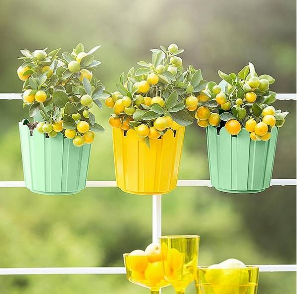 Petit pot de fleurs jaune Landhaus EMSA - Dia. 15.5 x 22 cm Emsa