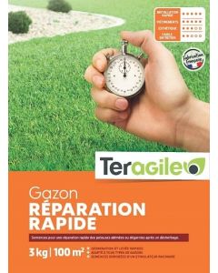 Gazon réparation rapide 3kg - Teragile