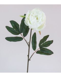 Pivoine - Arche Diffusion - Blanc - 65 cm