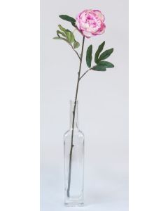 Pivoine - Arche Diffusion - Lavande - 65 cm