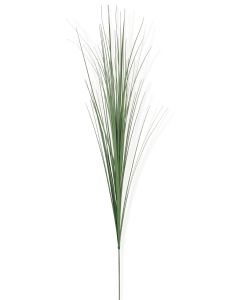 Isolepsis - Arche Diffusion - Vert - 1 m