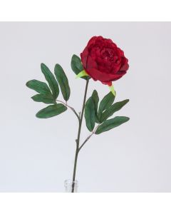 Pivoine - Arche Diffusion - Rouge - 65 cm