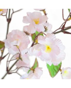 Cerisier - Arche Diffusion - Rose - 77 cm