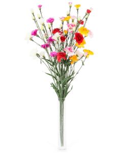 Oeillet - Arche Diffusion - 70 cm