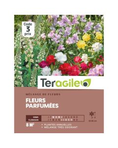Mélange de fleurs d'été parfumées - Graines - Teragile