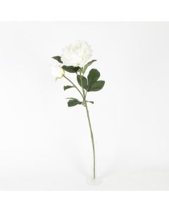 Pivoine artificielle - Blanc - 76 cm