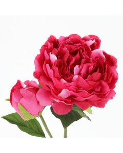 Pivoine artificielle - Fuchsia - 76 cm