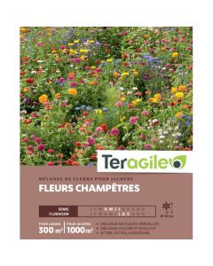Mélange de fleurs champêtres pour jachère - Graines pour 300 m² - Teragile