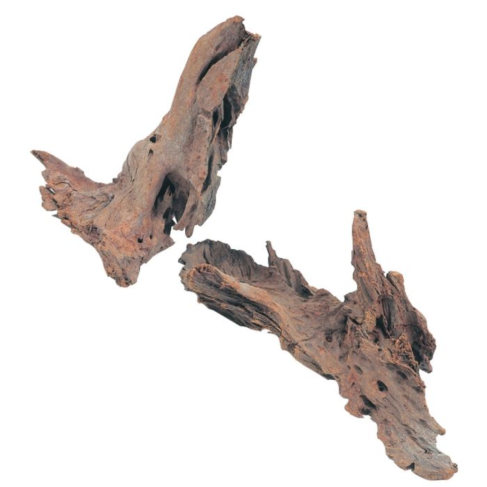 Racine de mangrove - Taille M - 25/40 cm