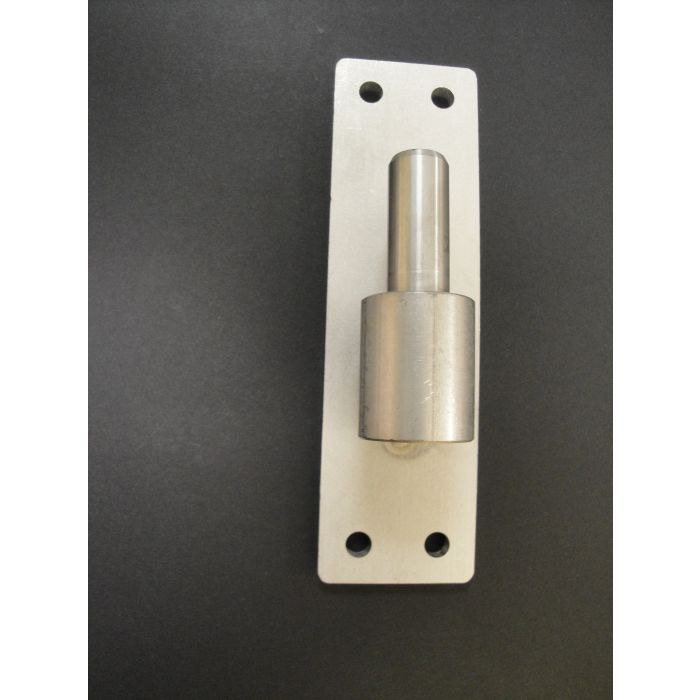 Gond sur platine inox - LE BIHAN INOX - Ø 14 mm  