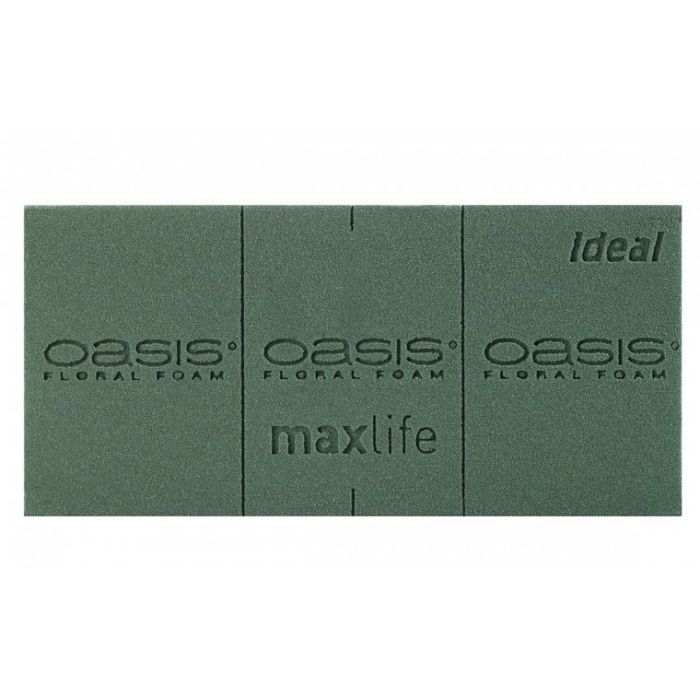 Briques de mousse florale - Oasis Ideal - vert - 23x11x8 cm - x20
