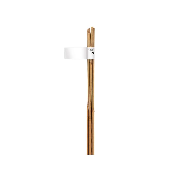 tuteur bambou naturel x2 - Notrene - 150 cm
