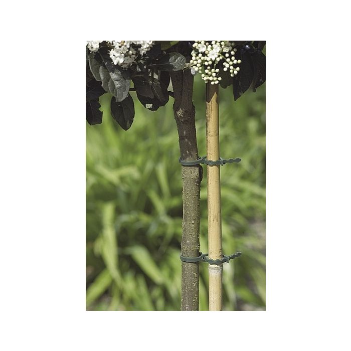 Lien en plastique x40 - Nortene - 17 cm