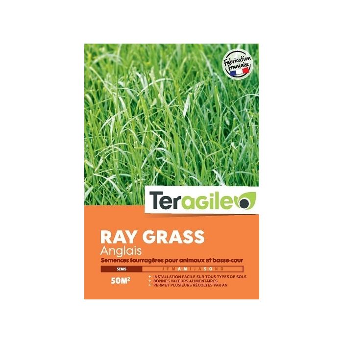 Ray grass anglais 10kg - Teragile