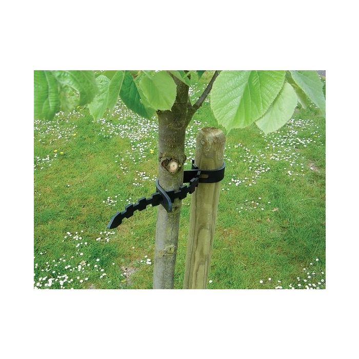 Collier arbre Selfix - Nortene - 60x3 cm