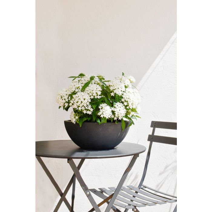 Vasque Basalt Up Ø30 cm - EDA - Anthracite 