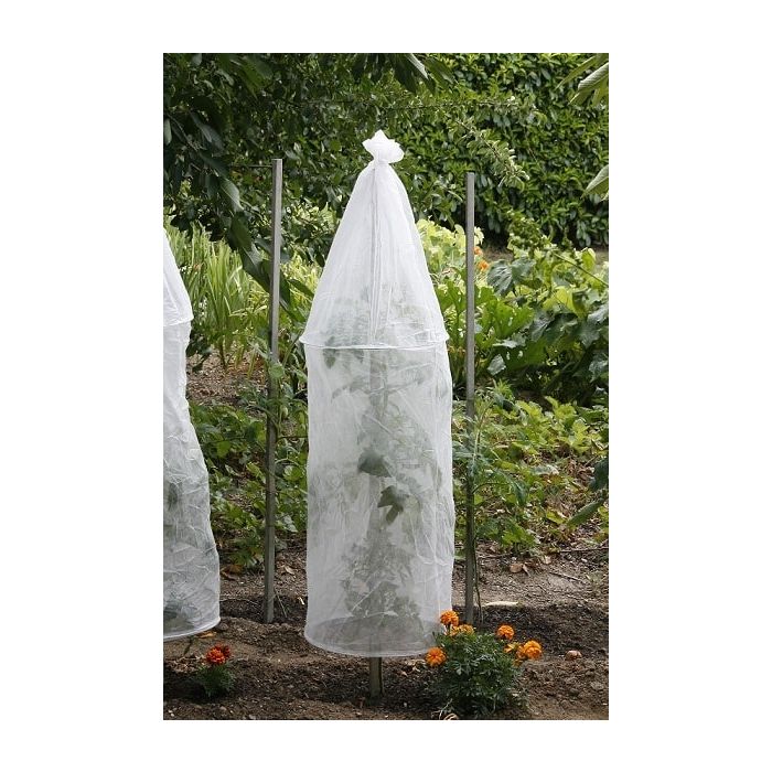 Housse de protection Tomtato cover x2 - Nortene - 1