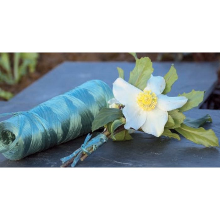 Raphia synthétique vert - Nortene - 100 gr