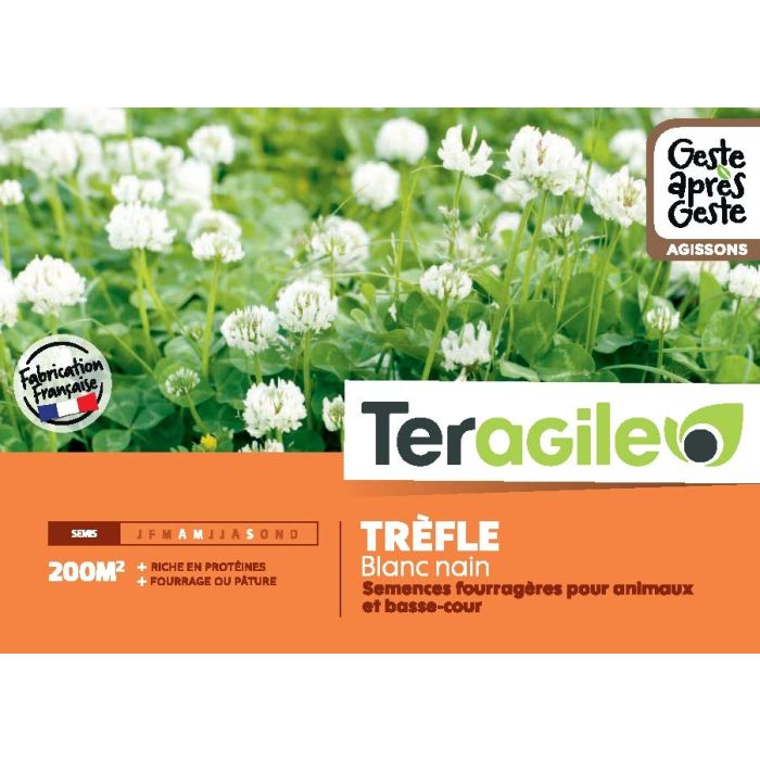 Trèfle blanc nain 500gr - Teragile
