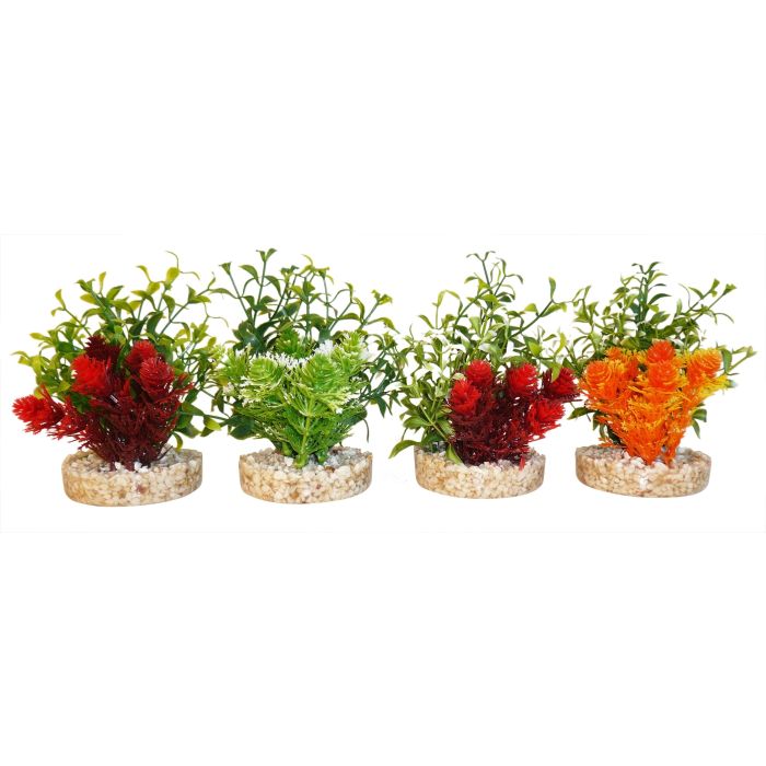 Déco Magic Nano green - Sydeco - 10 cm