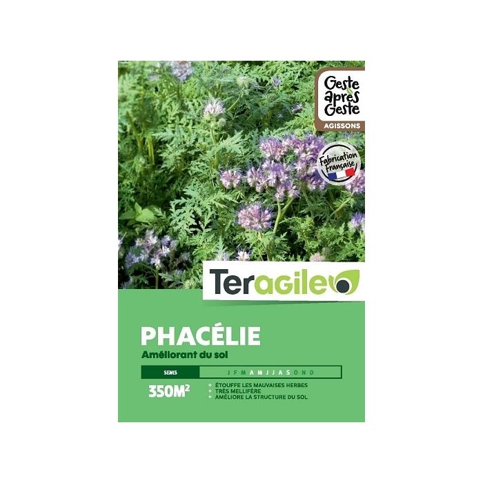 Phacélie 500gr - Teragile