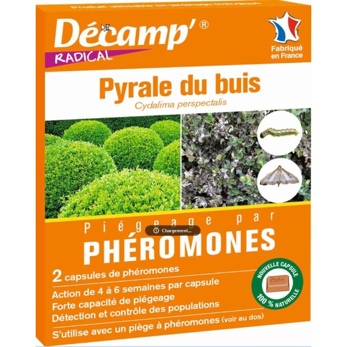 Phéromones contre pyrale du buis Décamp' Radical - CREA