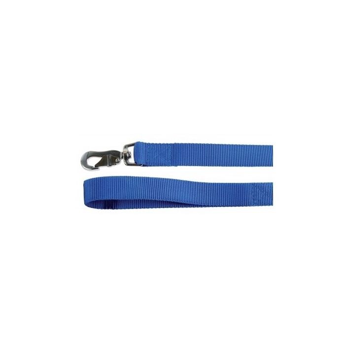 Laisse nylon XL pour chien - Zolux - 40 mm x 60 cm - Bleu