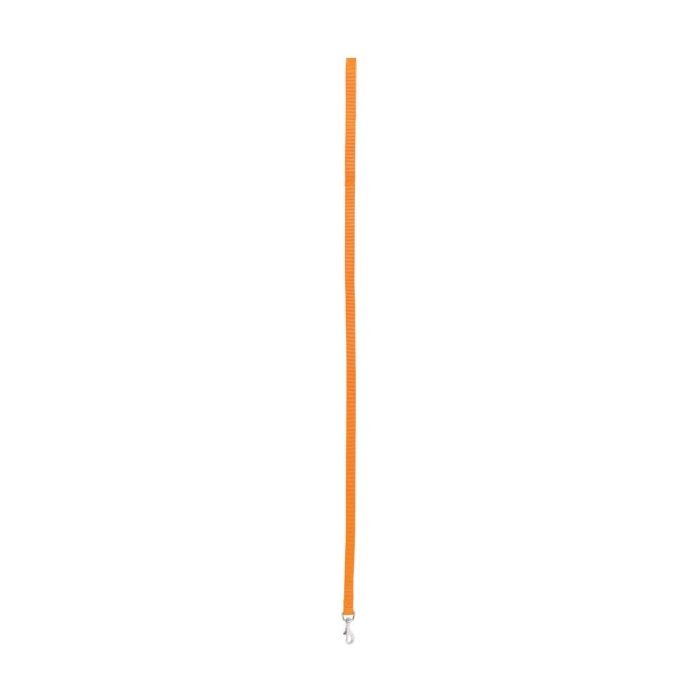 Laisse nylon pour chien - Zolux - 20 mm x 1 m - Orange