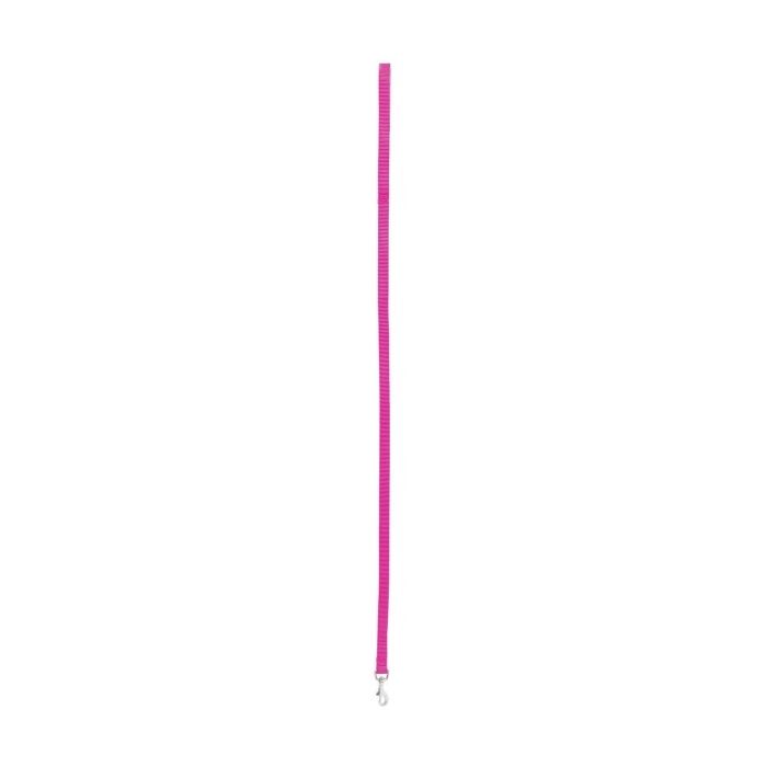 Laisse nylon pour chien - Zolux - 25 mm x 1 m - Rose Fuchsia
