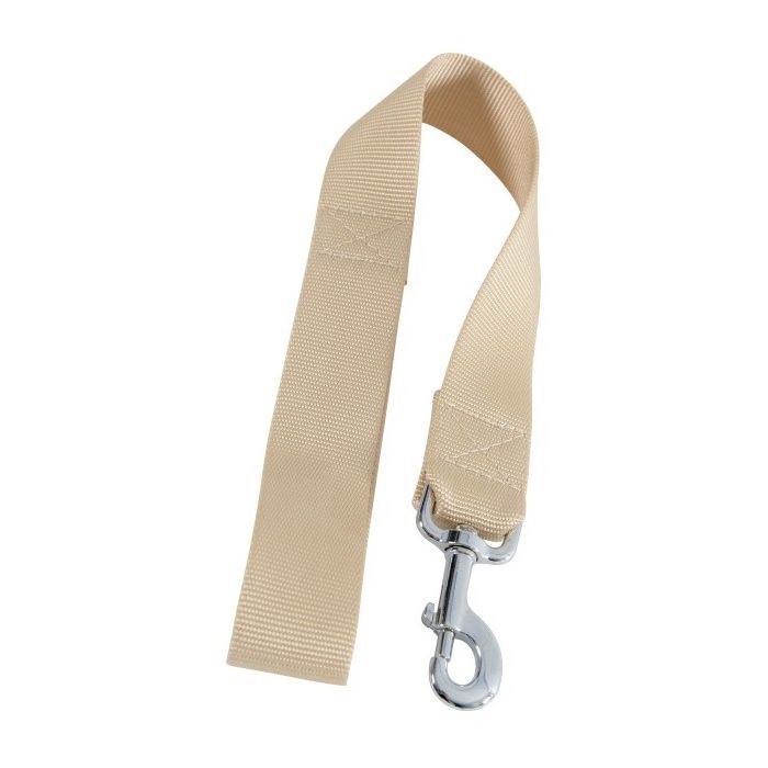 Laisse nylon XL pour chien - Zolux - 40 mm x 60 cm - Beige