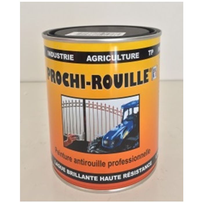 6029744 - Laque Prochi-rouille blanc Armor - Armor chimie - 0