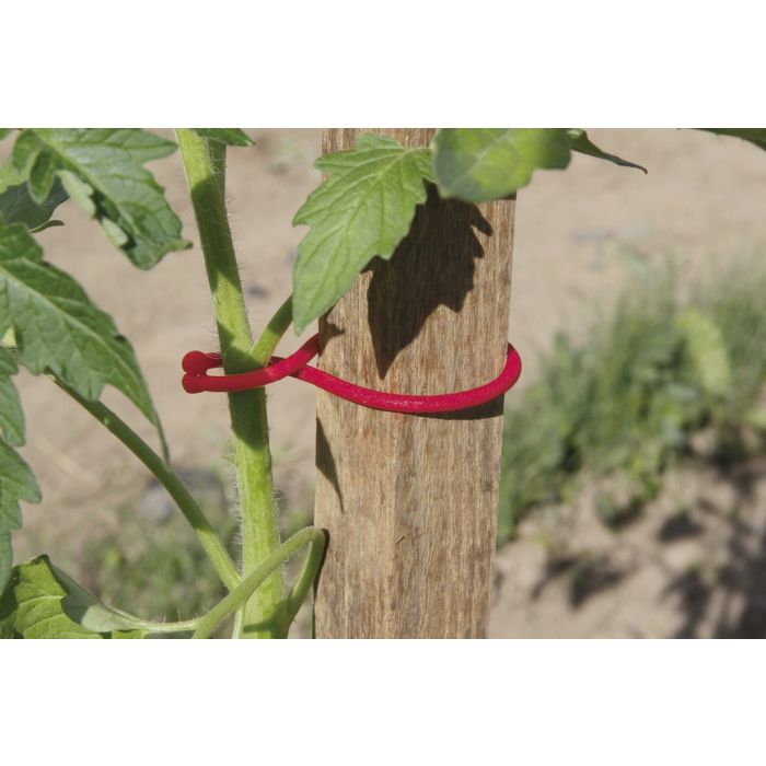Tomatoclips - Nortene - 25 clips