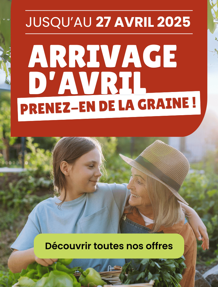 promotion avril