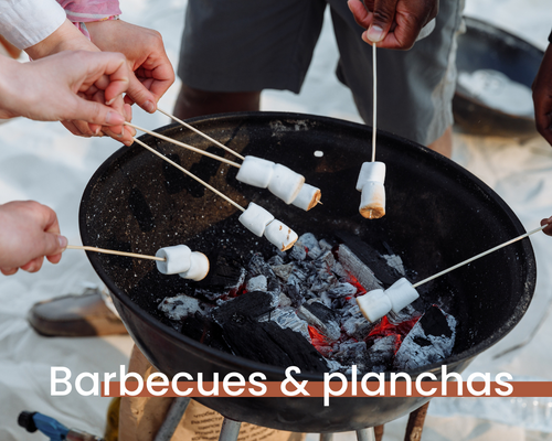 barbecues et planchas