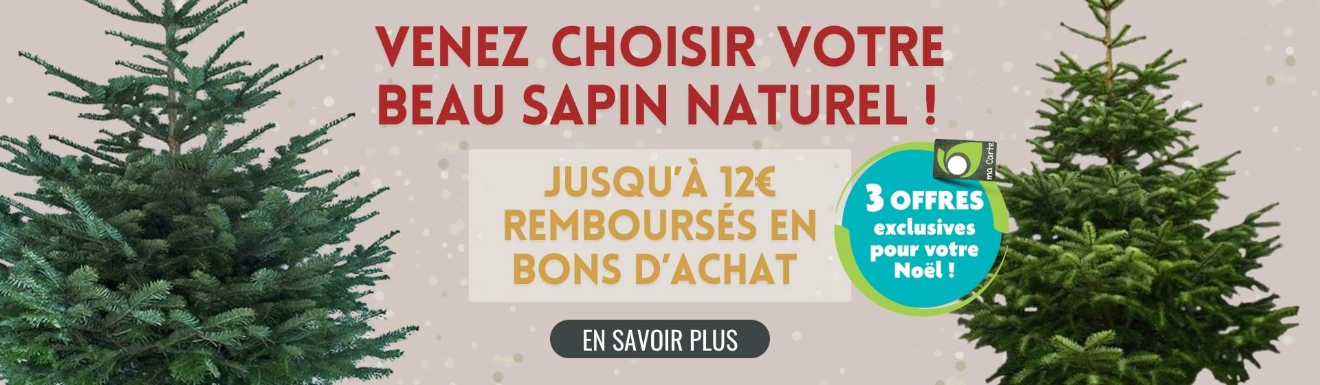 sapin offre coupon 